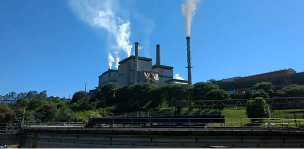 Paper Industry